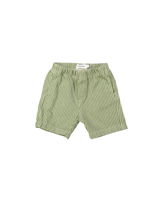 Bermuda stripe green