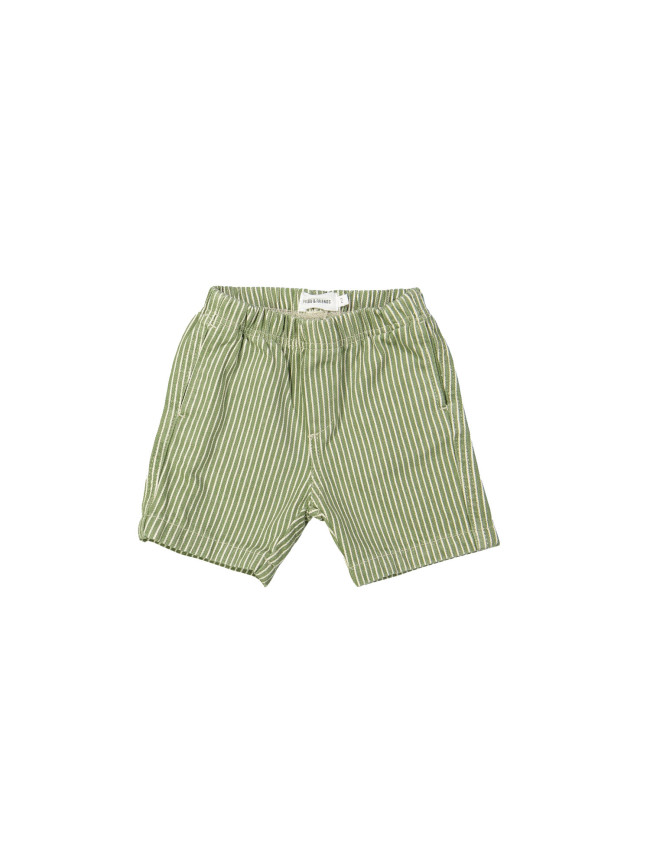 Bermuda stripe green