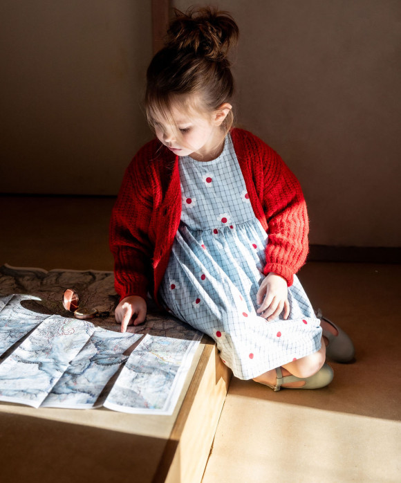 Dress check flowers light blue