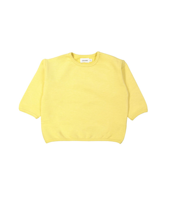 Sweater mountain holiday yellow rose