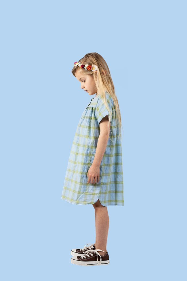 Dress check blue