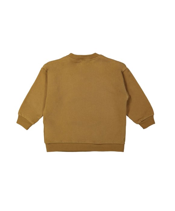 Sweater labradoodle mustard