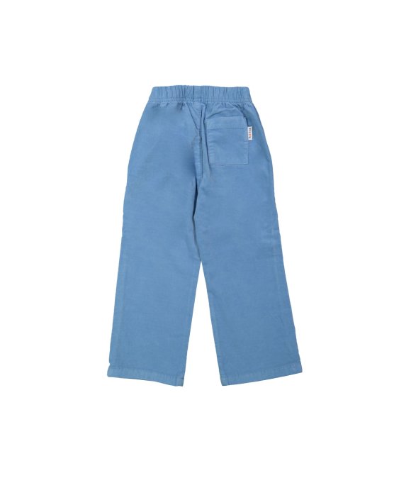 Pants velvet blue