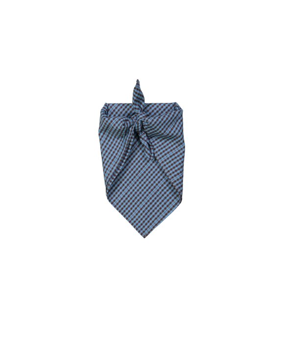 Scarf checks blue