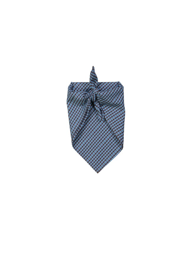 Scarf checks blue
