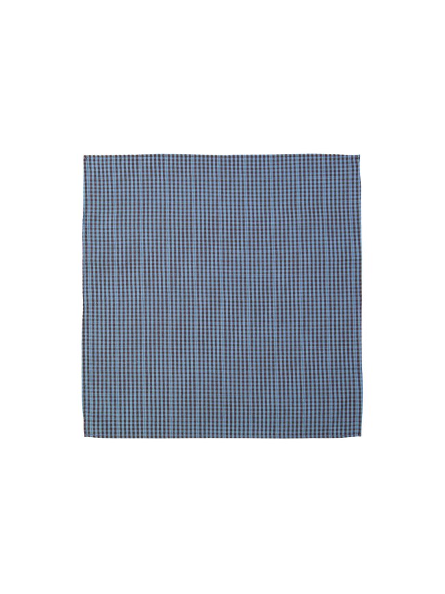 Scarf checks blue