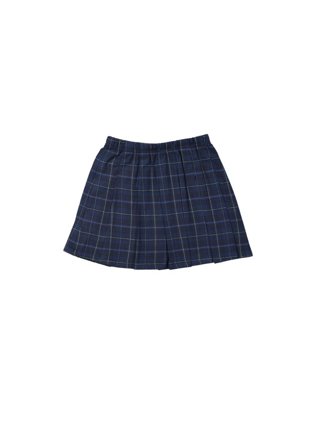 Skirt checks dark blue