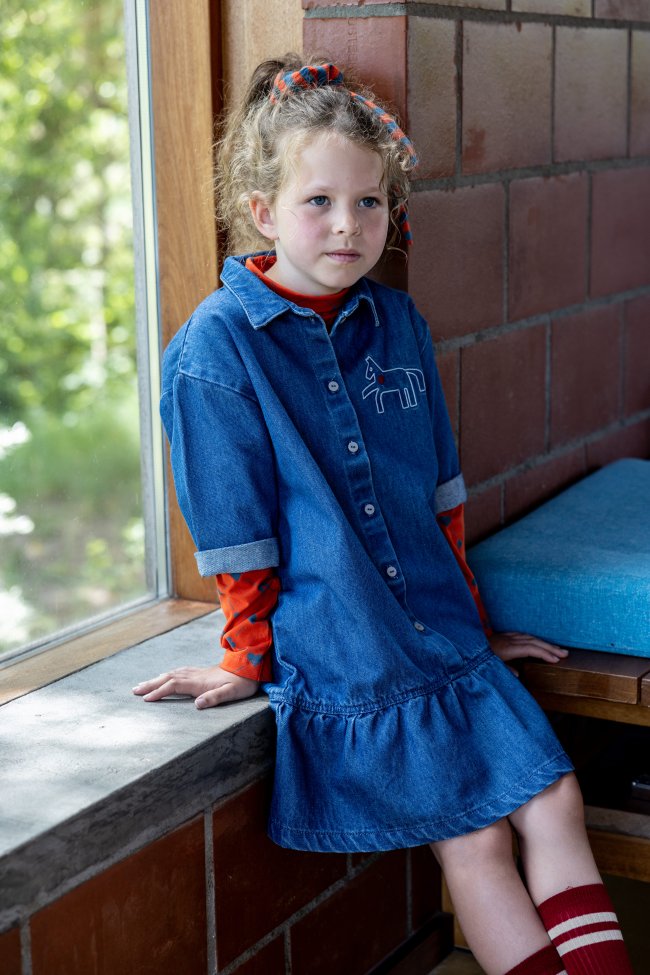 Dress denim horse stone bleach