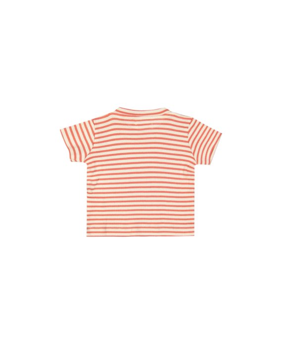 t-shirt mini rib stripe red
