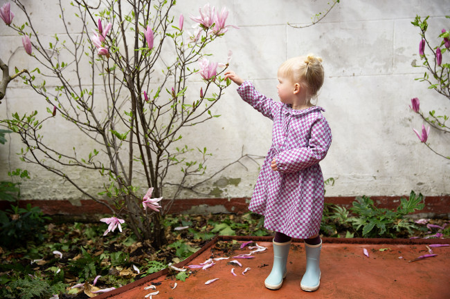 dress little checks violet