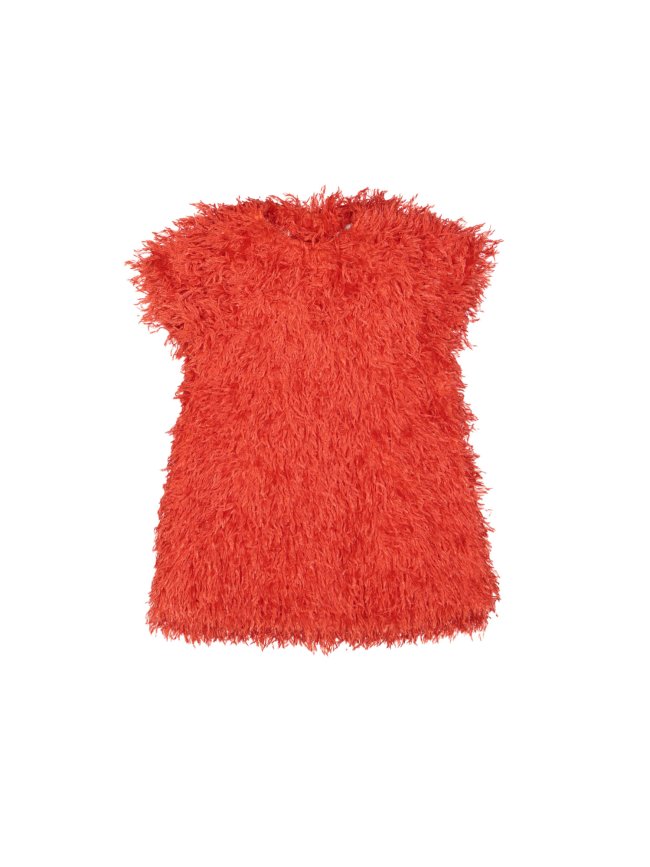 Dress plume red