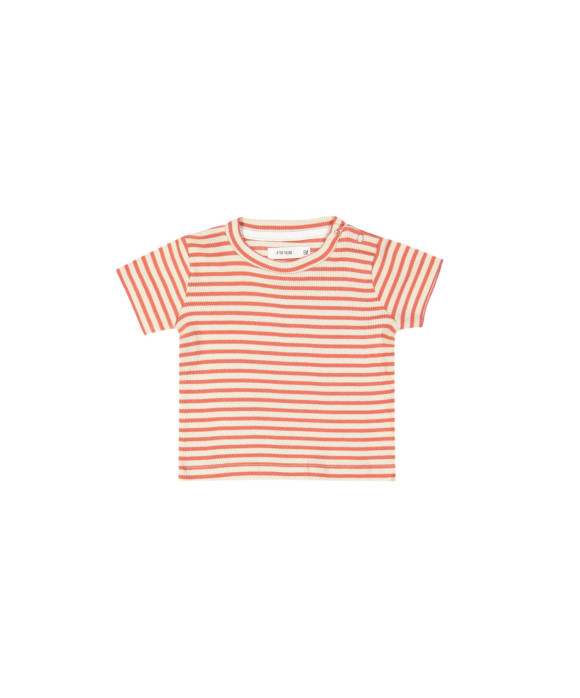 t-shirt mini rib stripe red