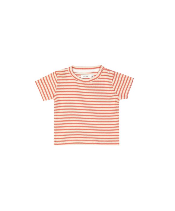 t-shirt mini rib stripe red