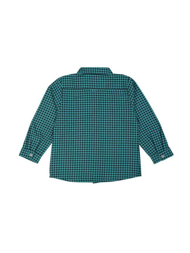 shirt check green