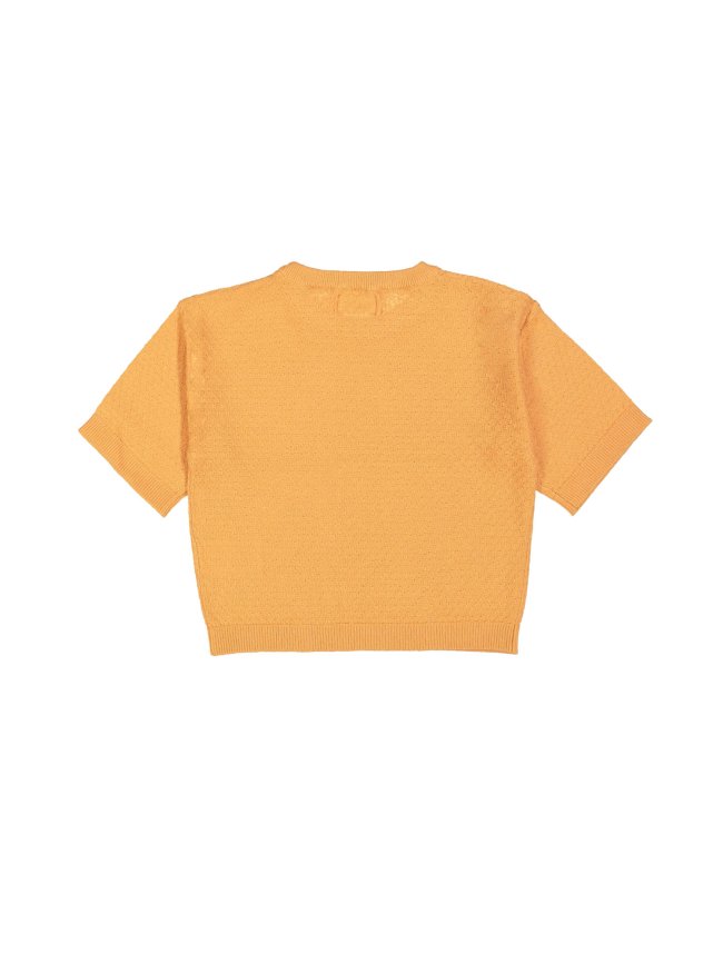 Pull SL orange