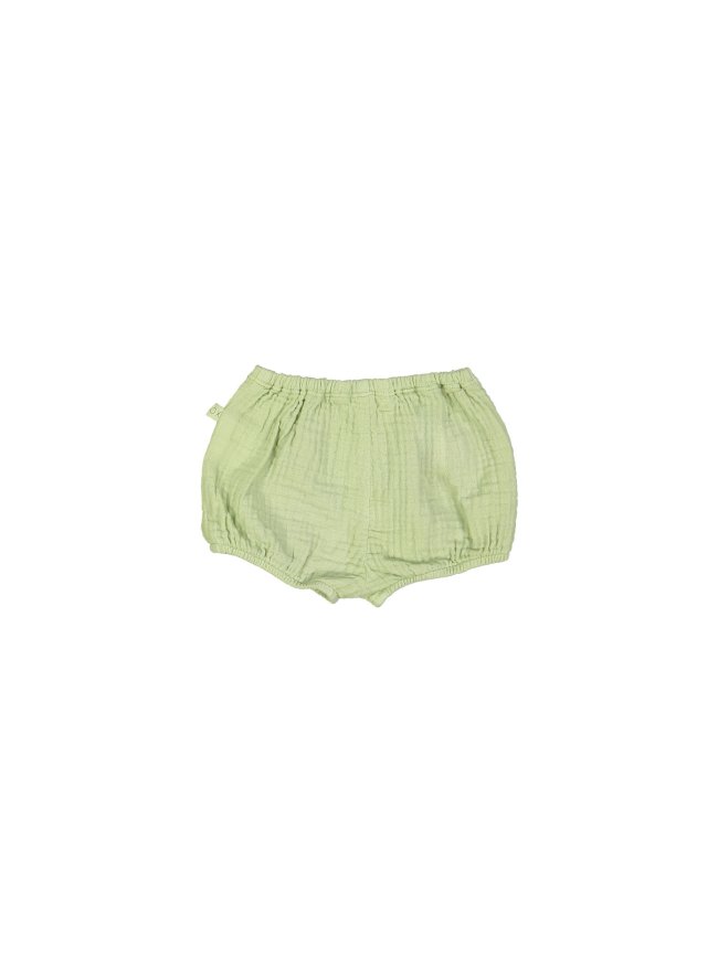 Bloomer tetra light green