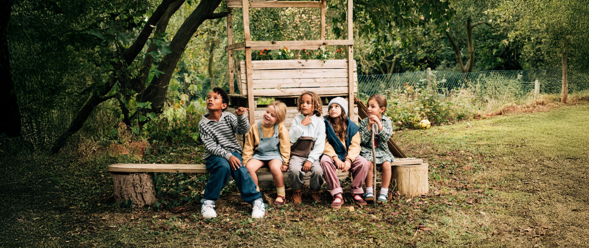 About A Wonderful Wood