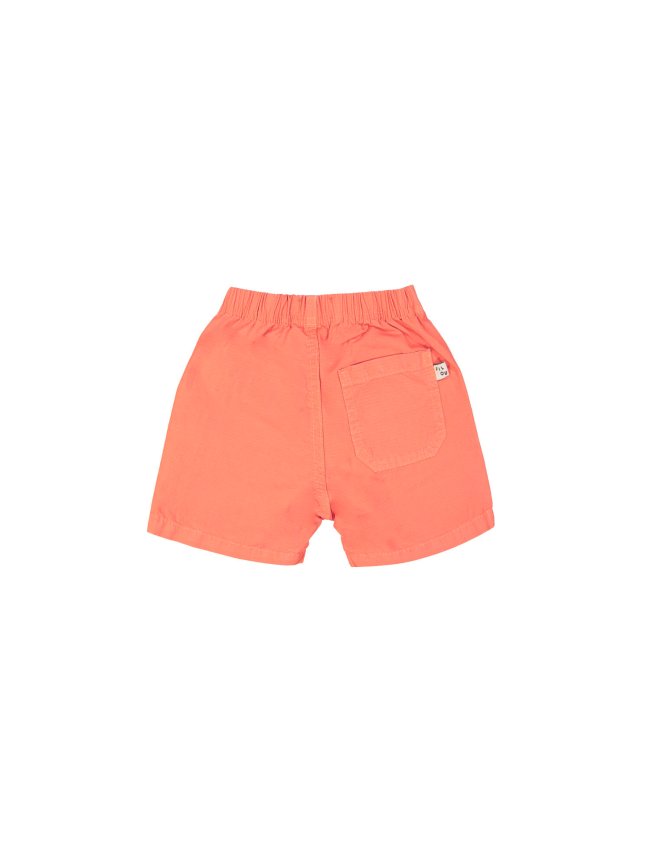 Bermuda red