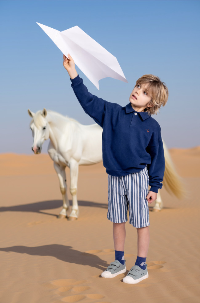Polo Sweater filou bleu foncé mélangé