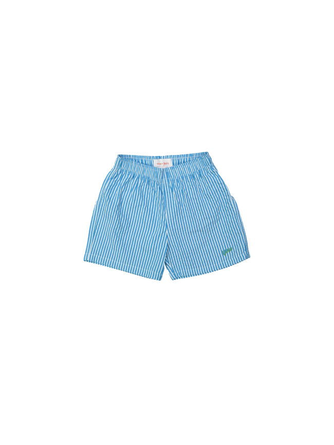 Zwemshort WW rayé petrol