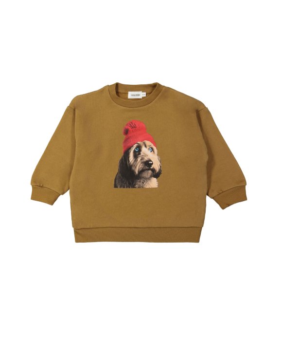 Sweater labradoodle moutarde