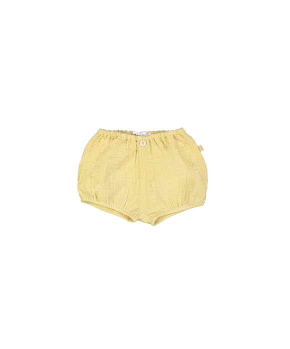 Bloomer tetra jaune