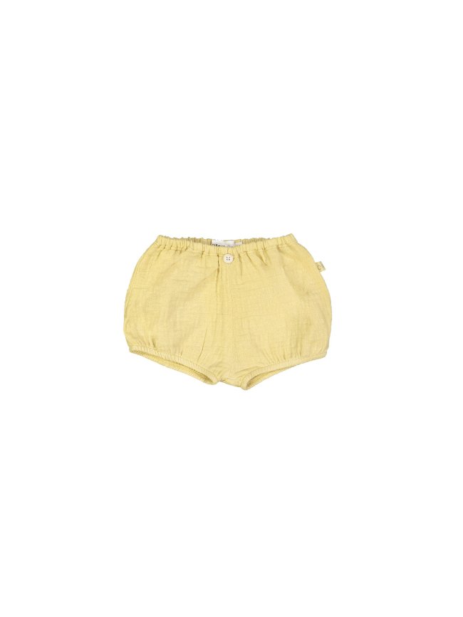Bloomer tetra jaune