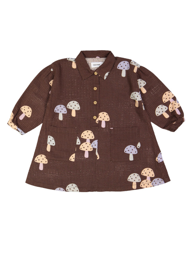 robe mushrooms marron