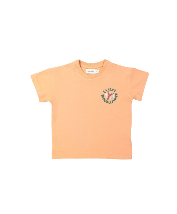 T-shirt expert orange