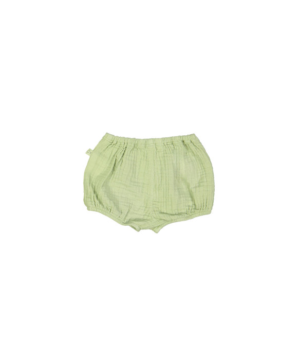 Bloomer tetra vert clair