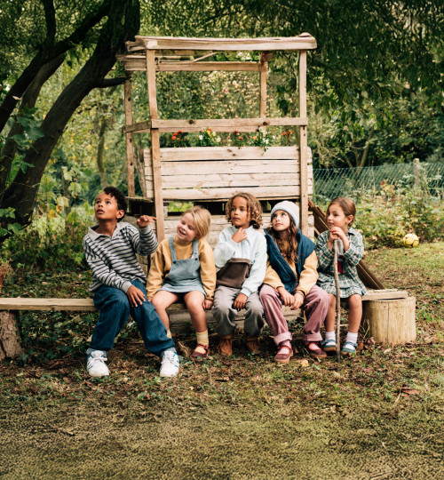 About A Wonderful Wood