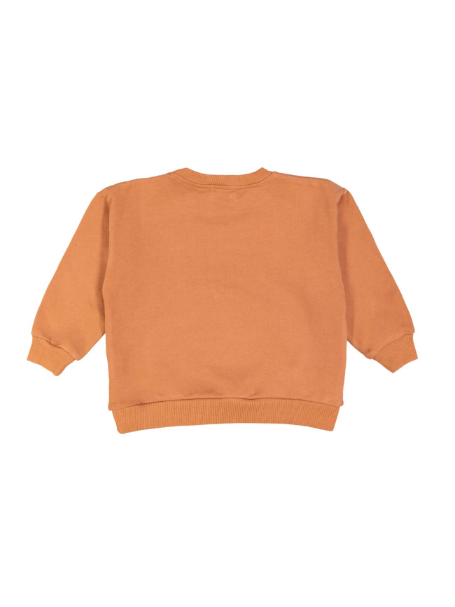 Sweater garçon taupe