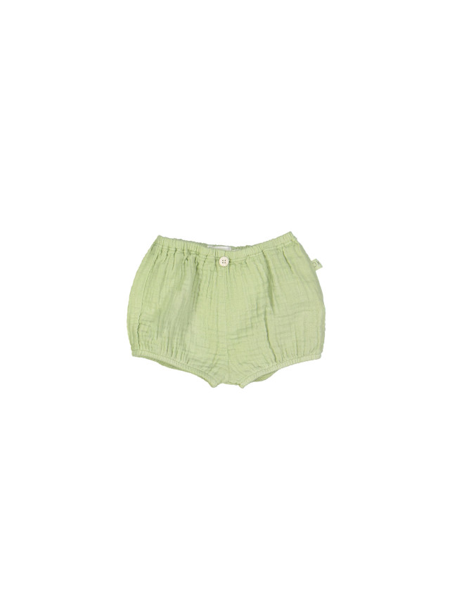 Bloomer tetra vert clair