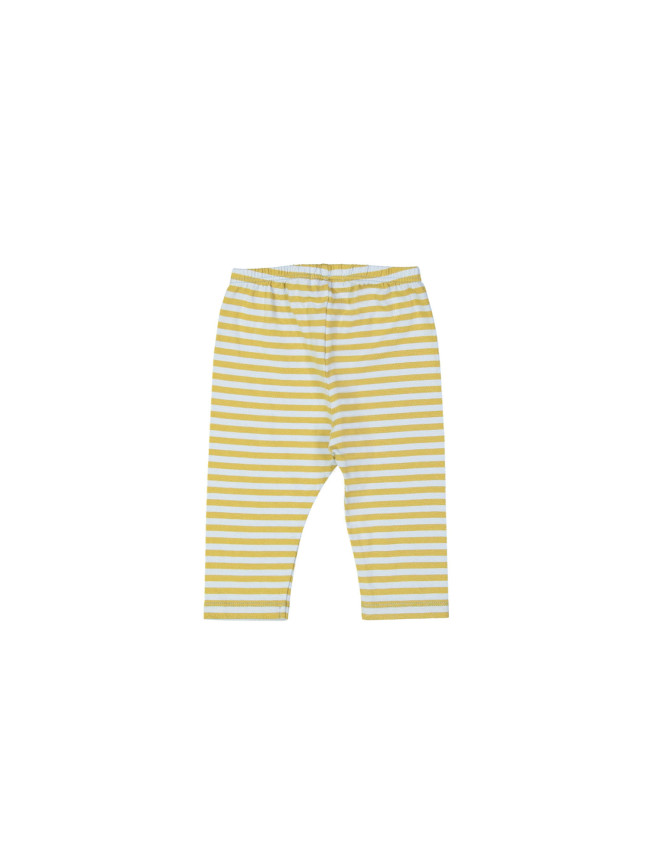 pants stripe light blue