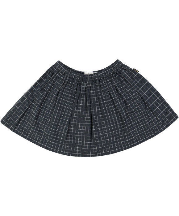 rok blauw ruit 04j