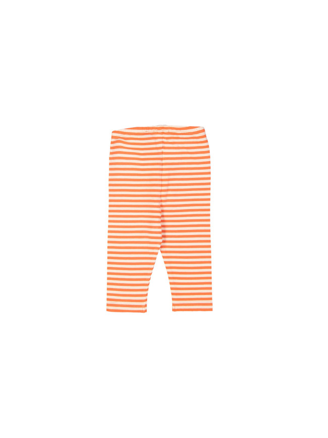 Legging mini streep feloranje 03m