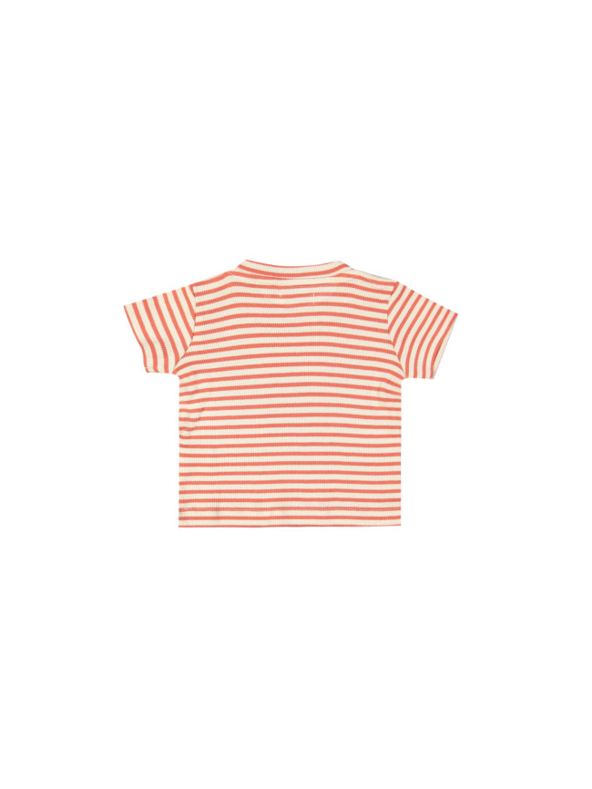 t-shirt mini rib streep rood 03m