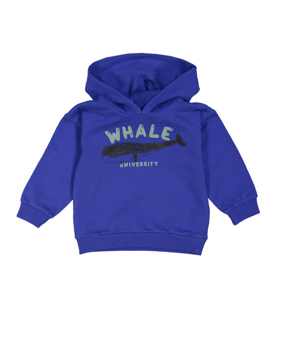 sweater whale university blauw