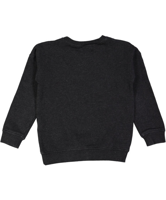 sweater grijs beertjes 06j