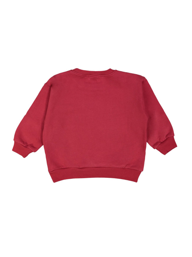 Sweater meilleurs amis rouge