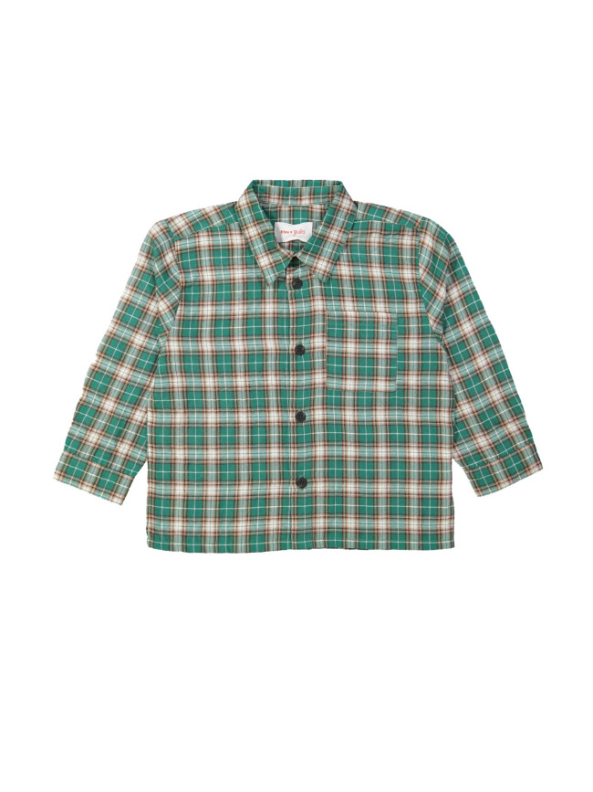 Hemd ruit groen 12m-18m