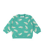 sweater submarinefish groen 06m