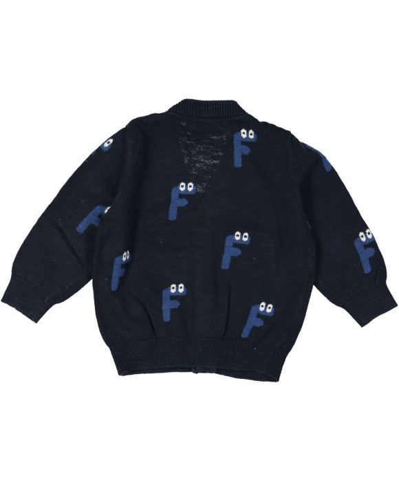 gilet tricot blauw F 06m