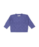 pull mini ruit blauw 06m