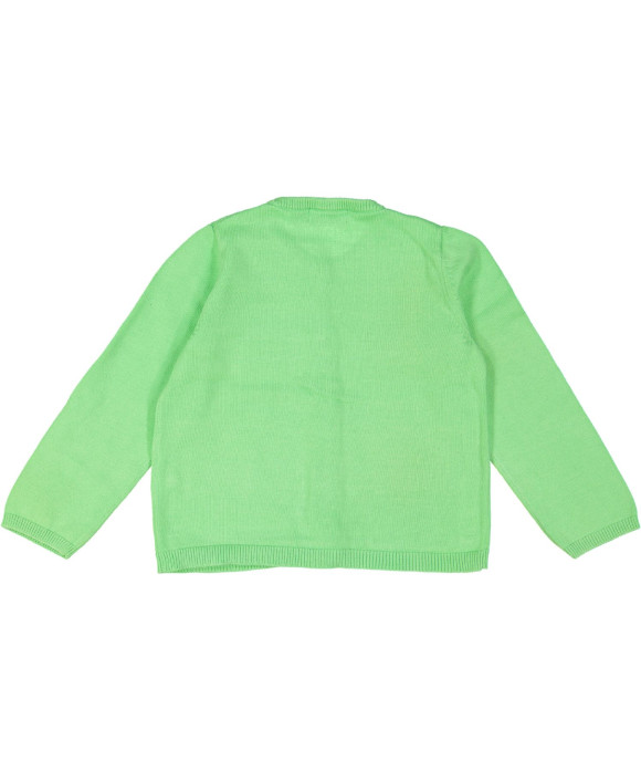 gilet tricot groen poezen 18m