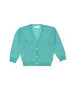 gilet glans groen 08j