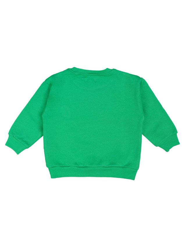 Sweater dog bright green