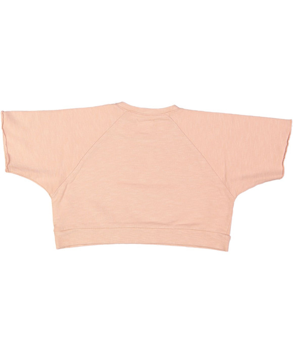 sweater roze ijsjesbeer 02j