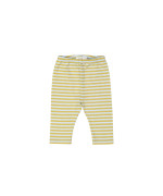 pants stripe light blue