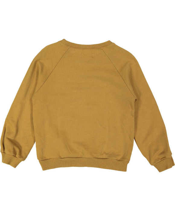 sweater bruin daisy cat 05j